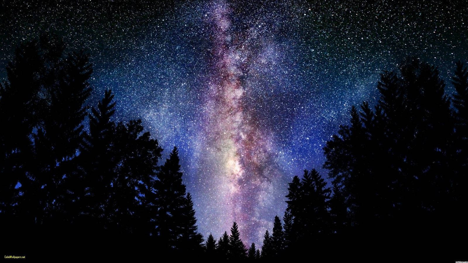 Milky Way Dividing The Dark Forrest Background