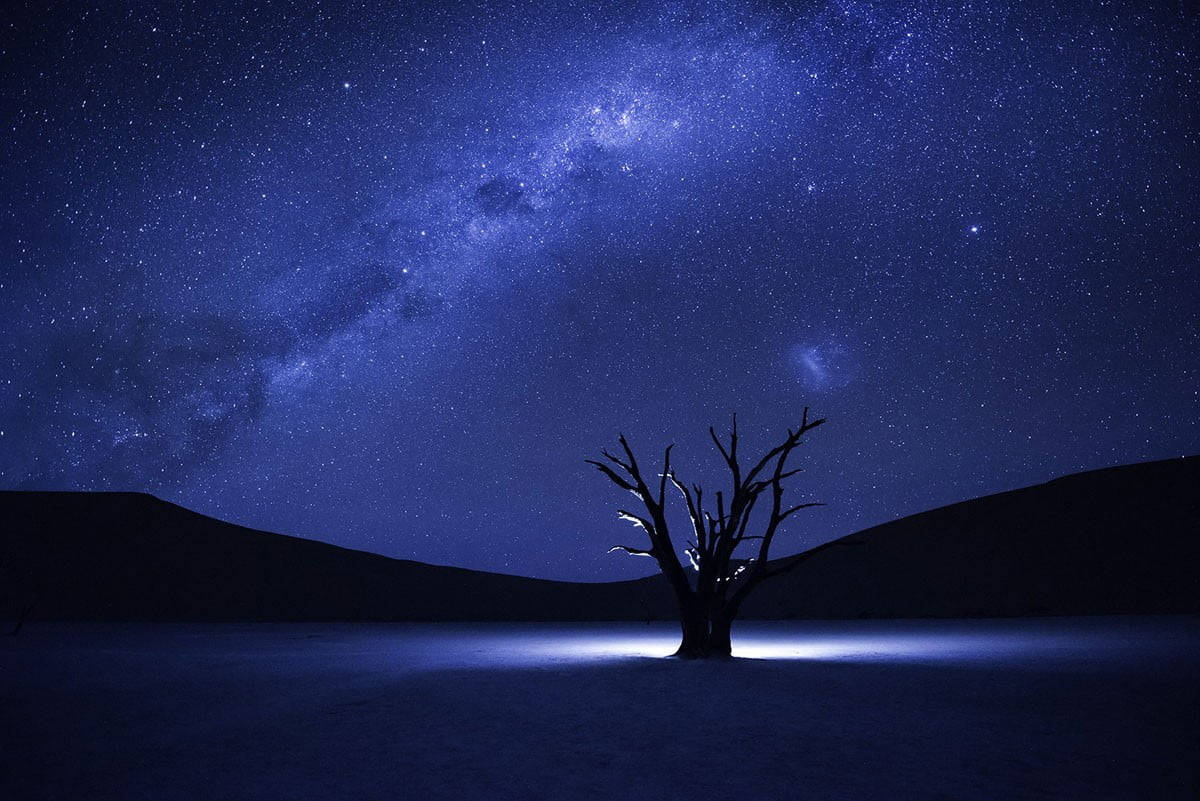 Milky Way Galaxy Bare Tree Background