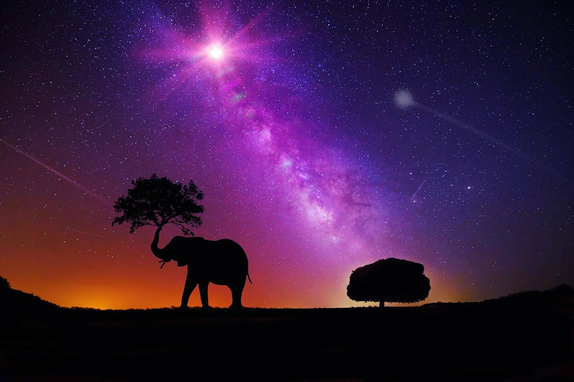 Milky Way Galaxy Elephant Background