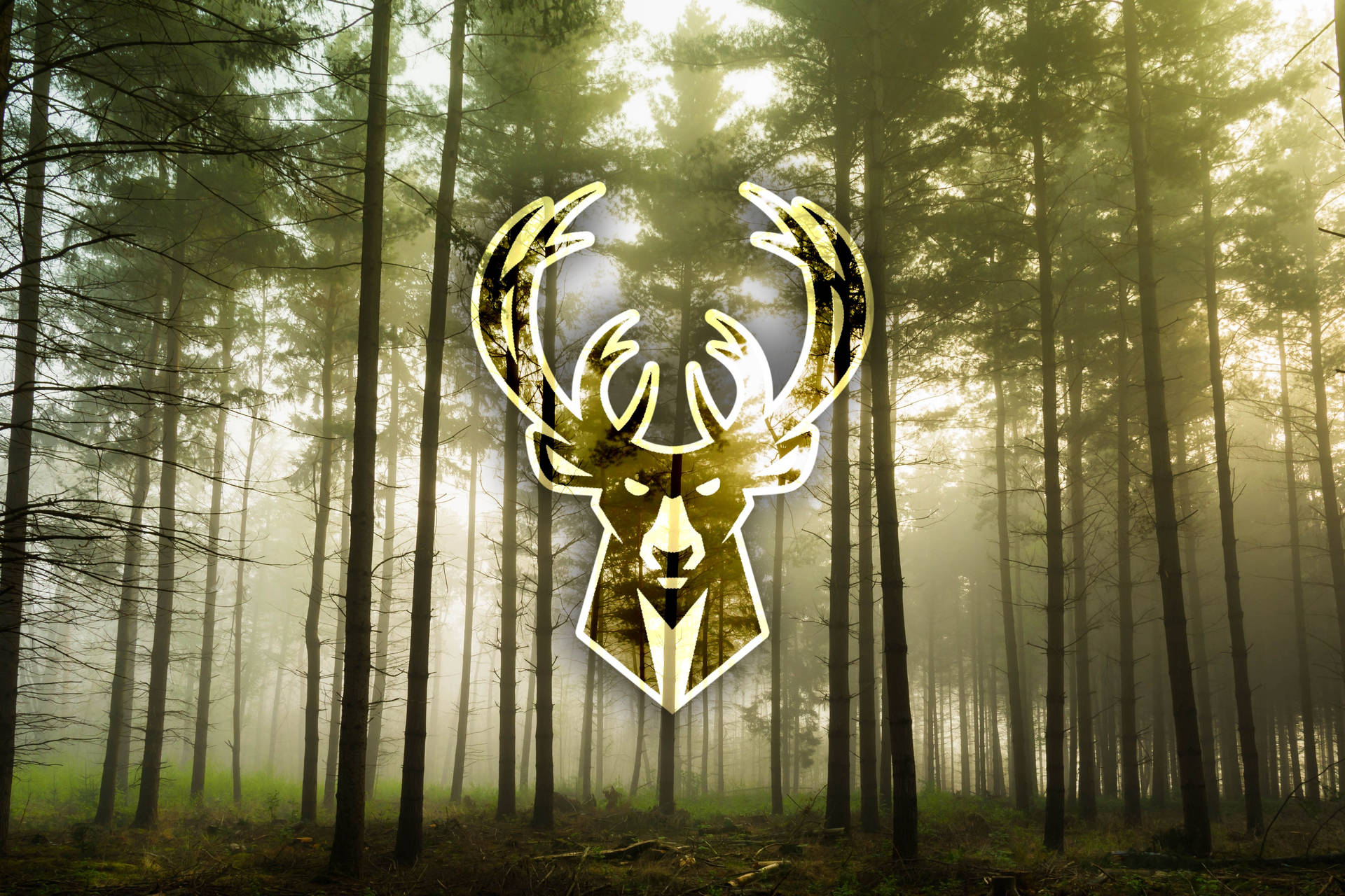 Milwaukee Bucks Logo In The Forest Background