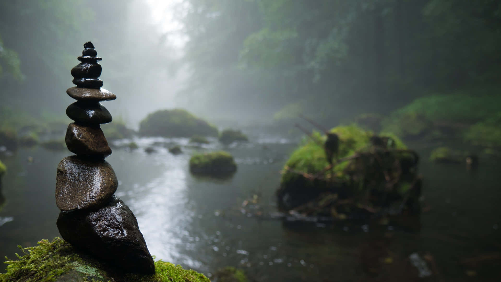 Mindfulness In Foggy Forest Background