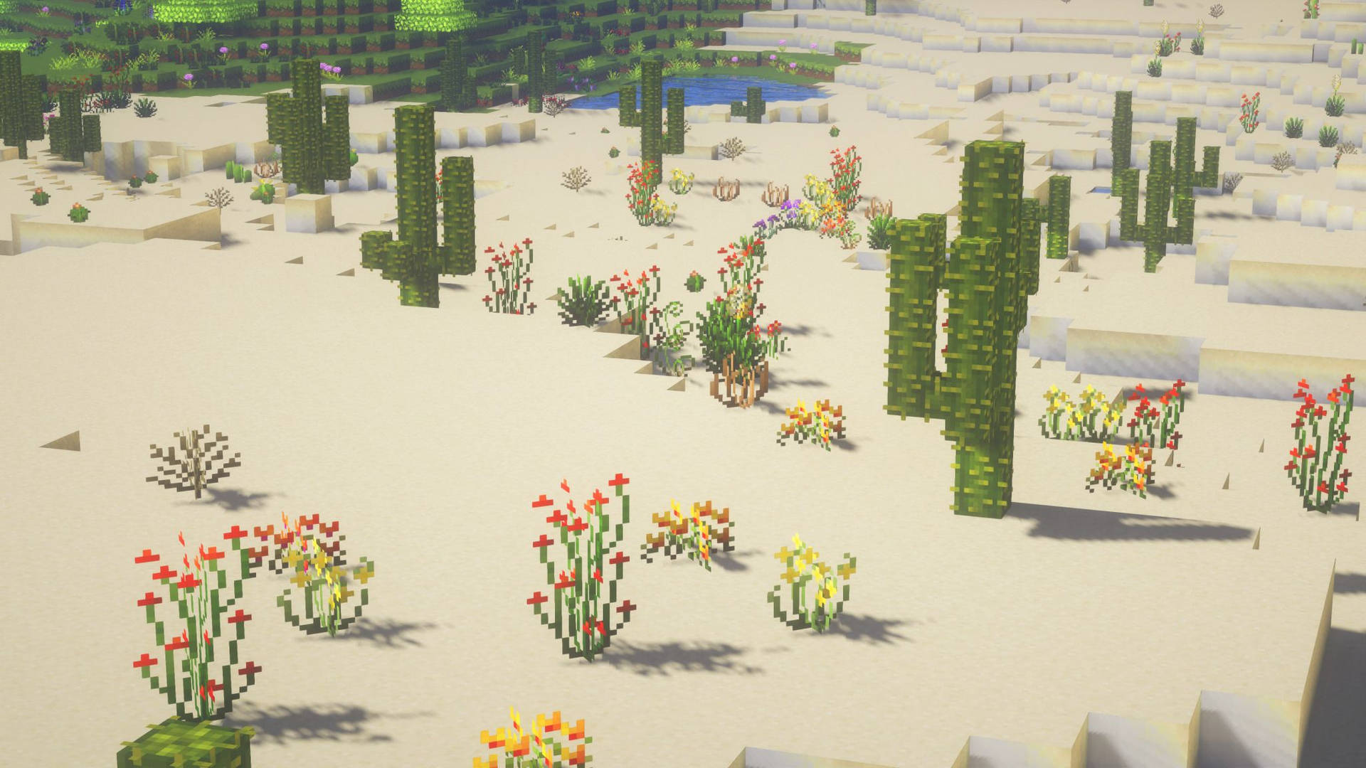 Minecraft Aesthetic Cactus Plants Background