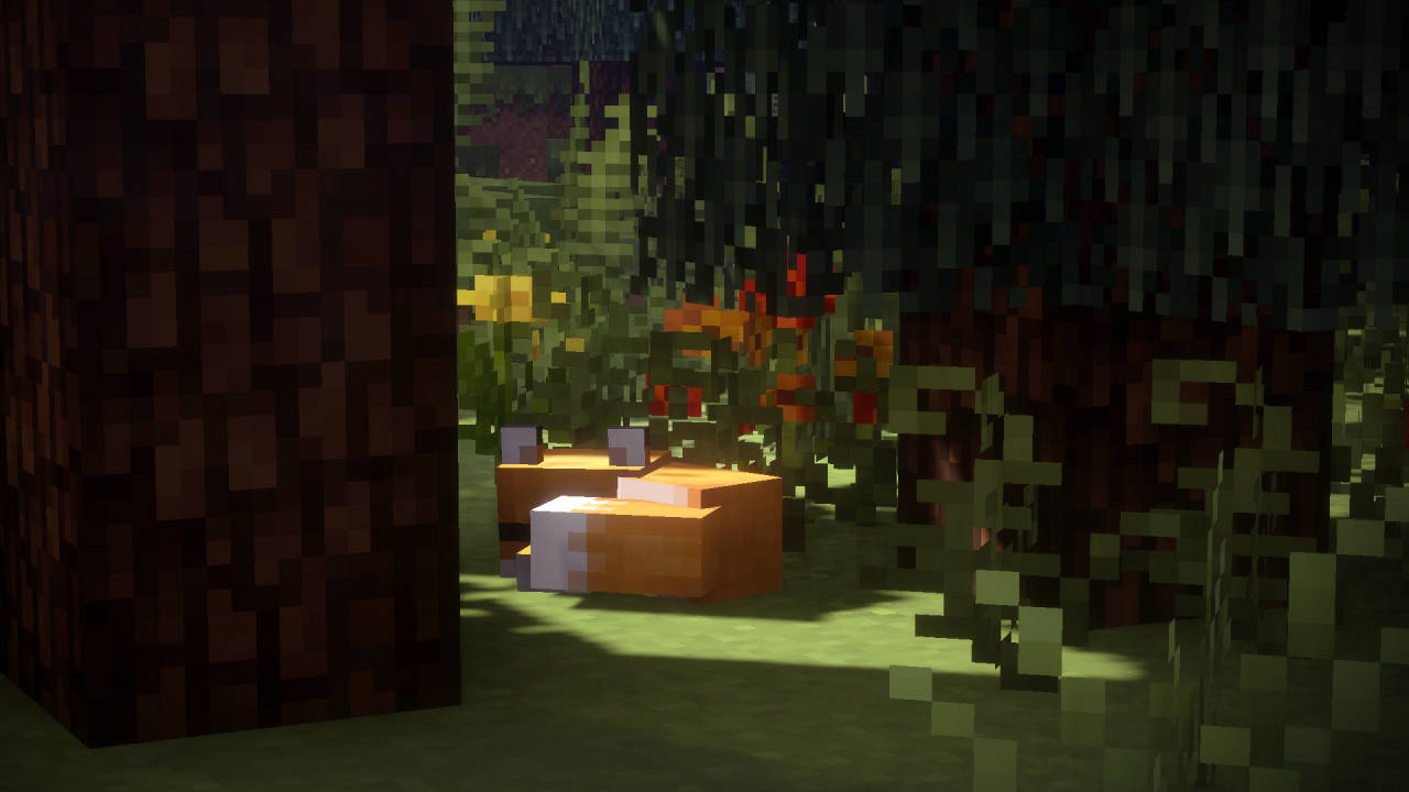Minecraft Aesthetic Forest