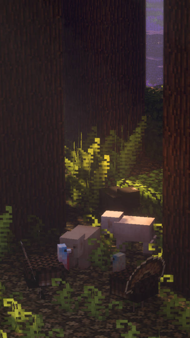 Minecraft Aesthetic Hidden Dark Forest Background