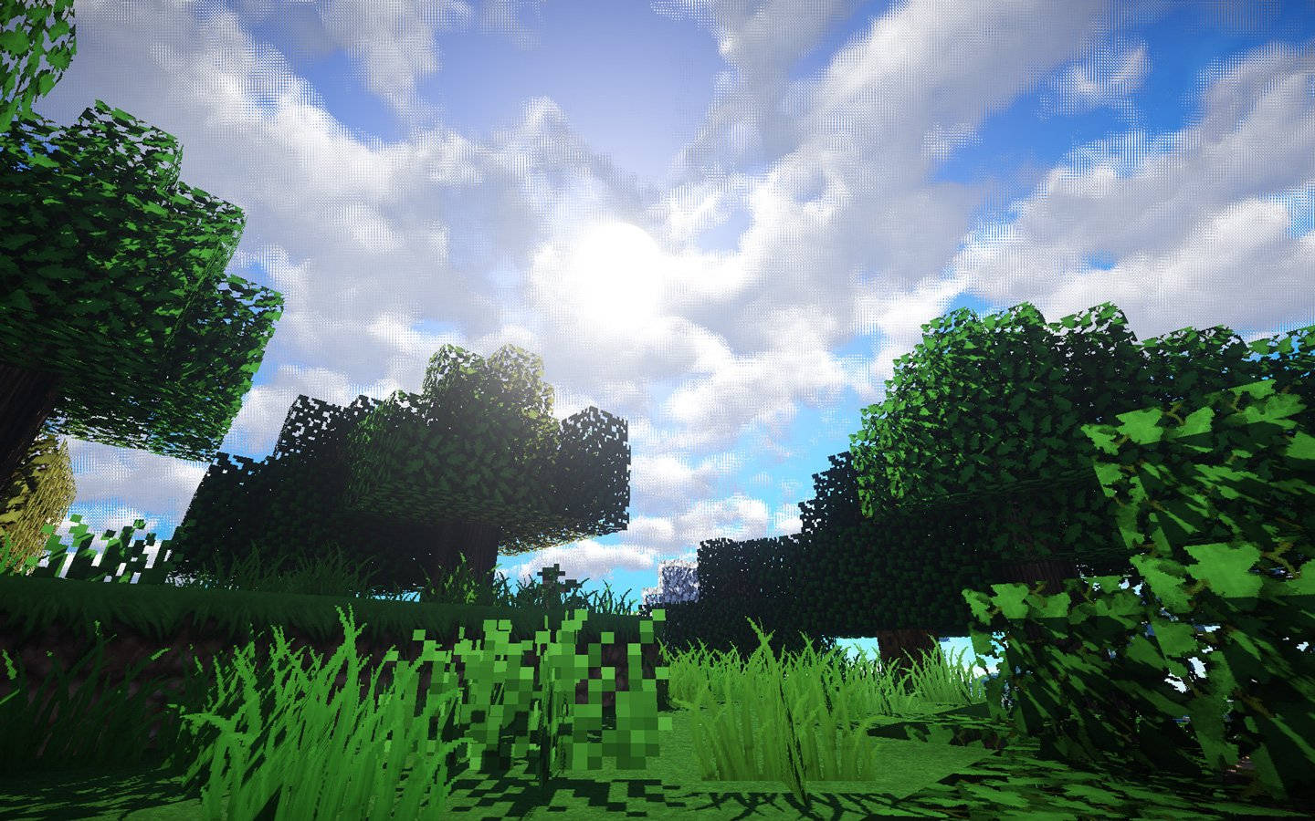Minecraft Aesthetic Tall Green Trees