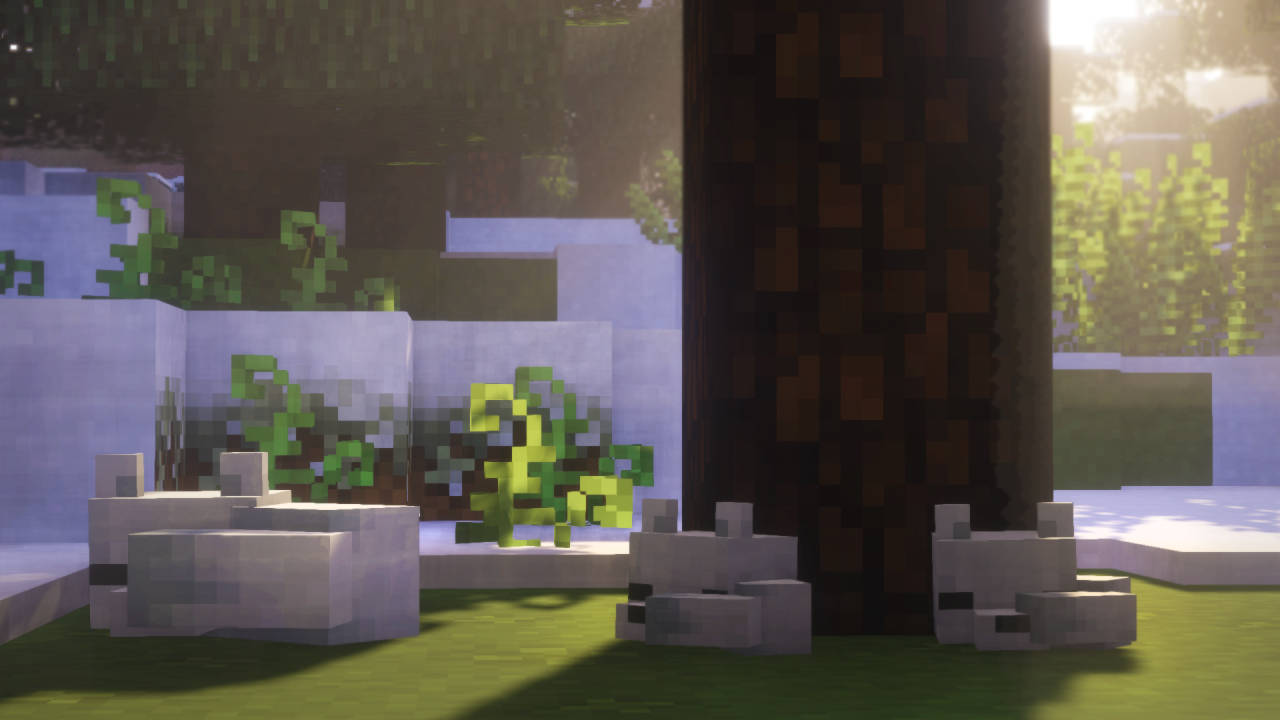 Minecraft Aesthetic Trees And Bench Background