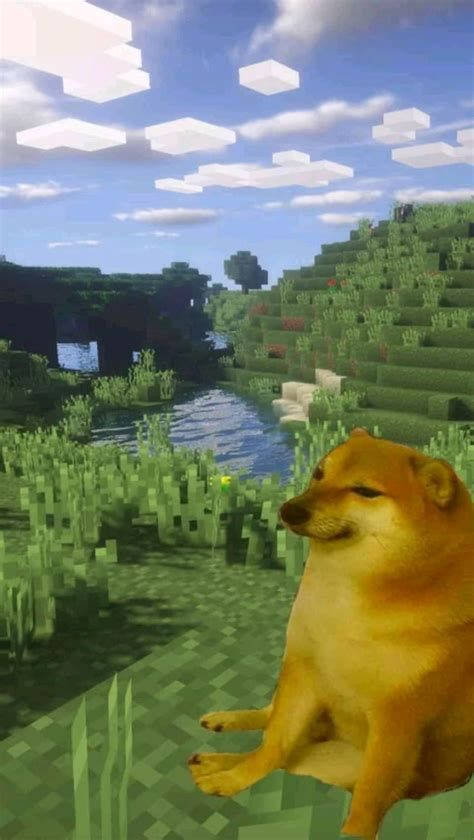 Minecraft Cheems Doge Meme Background