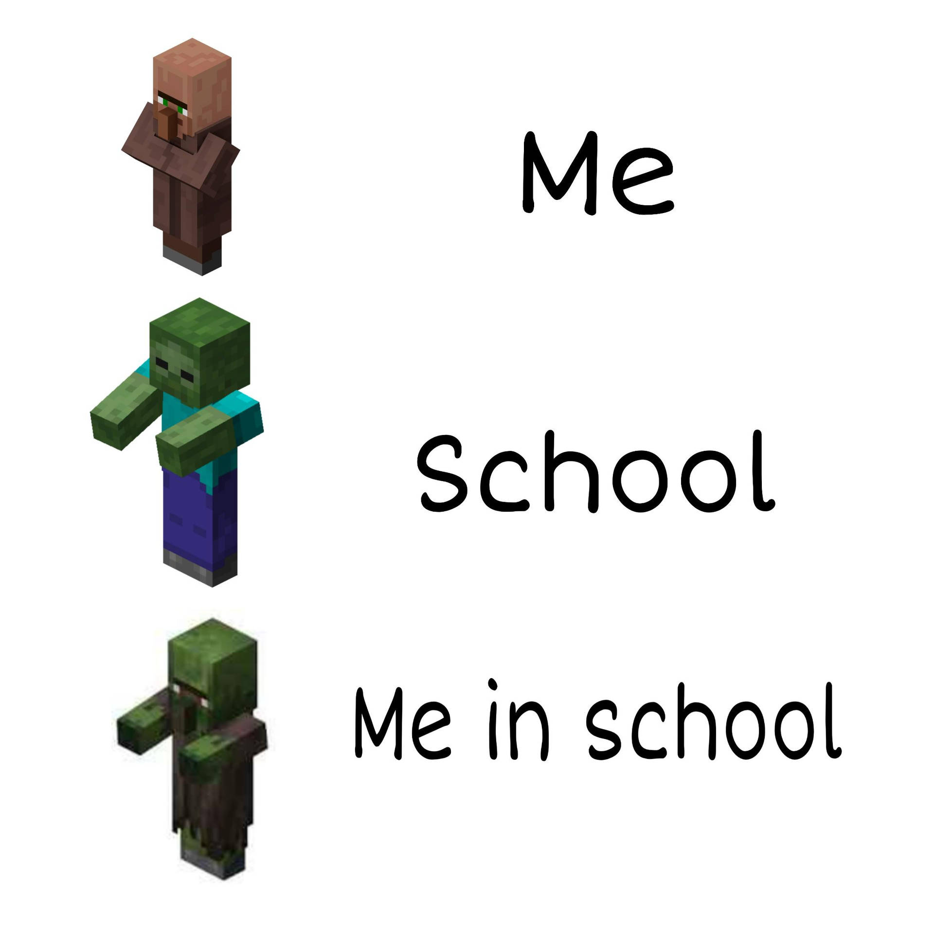 Minecraft Meme About School Background