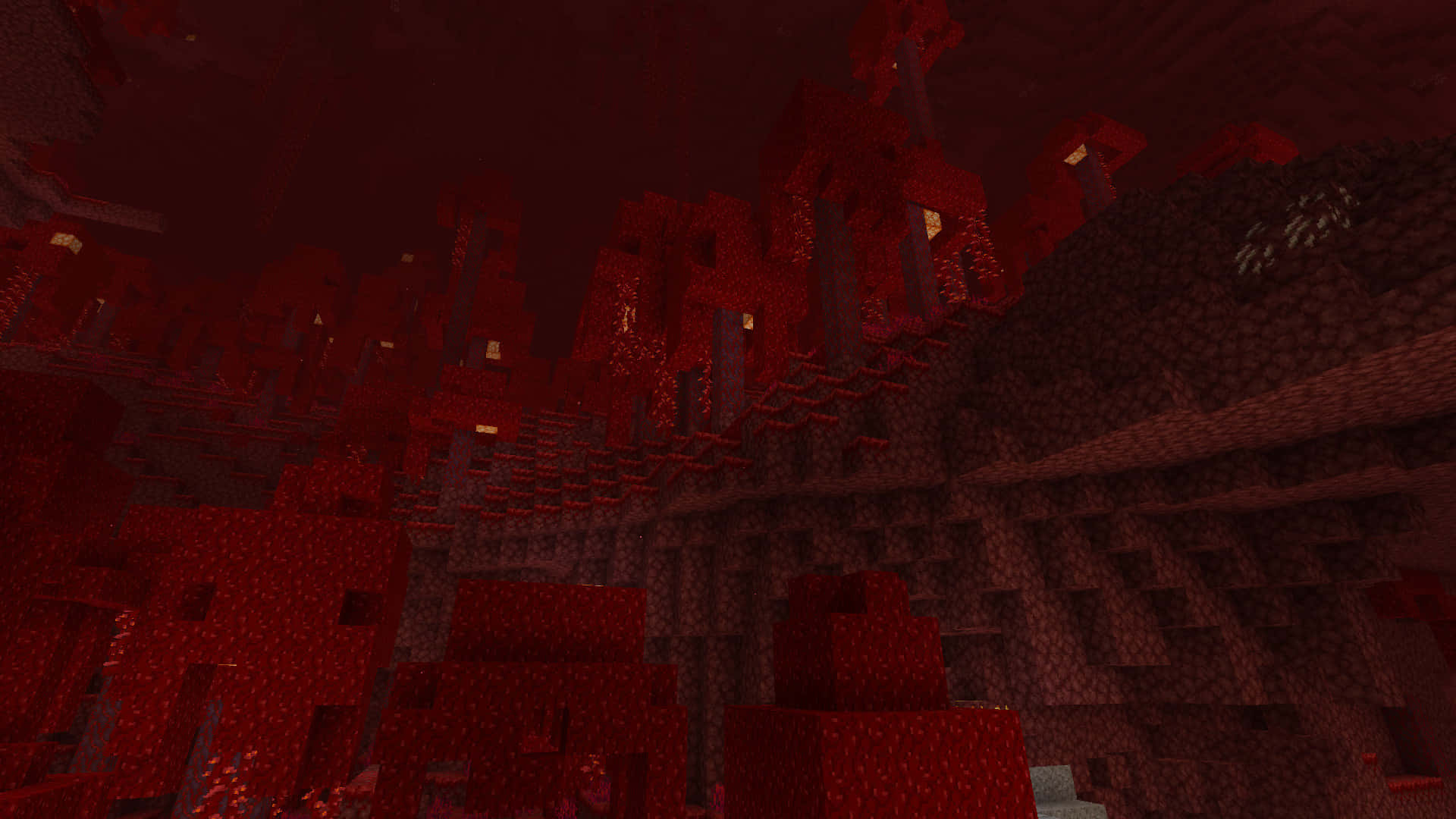 Minecraft_ Nether_ Crimson_ Forest_ View Background