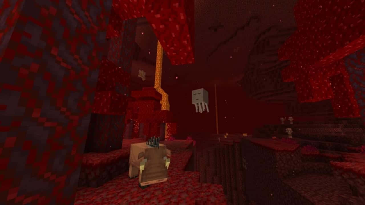 Minecraft_ Nether_ Exploration.jpg Background