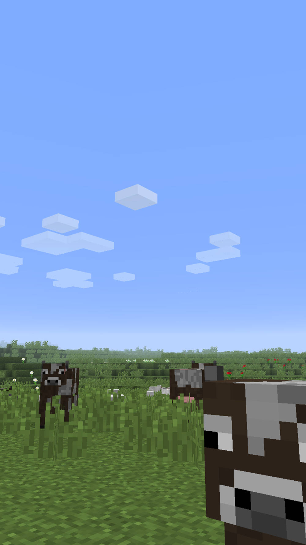 Minecraft Phone Huge Farm Background
