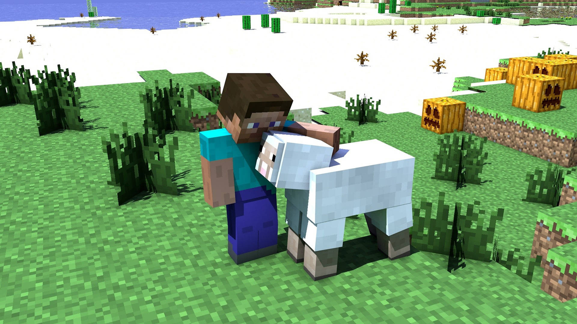 Minecraft Steve Sheep Background