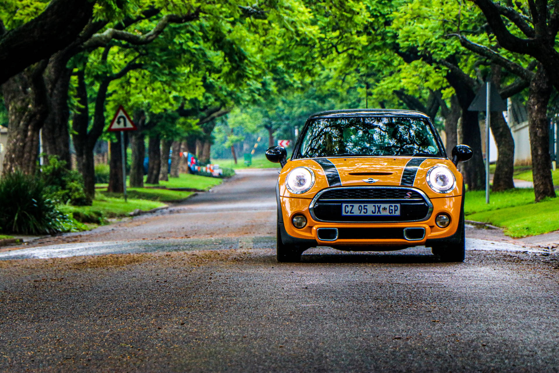 Mini Cooper In The Forest Background