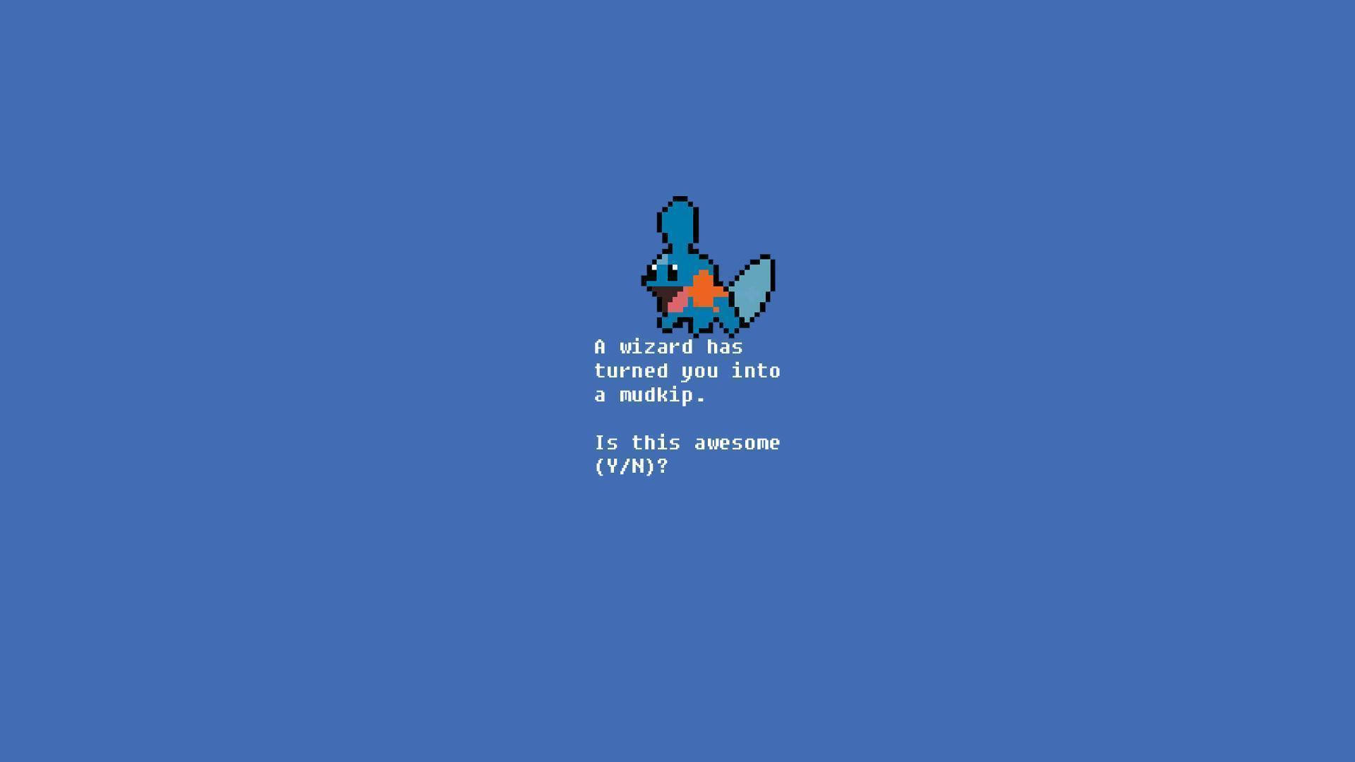 Mini Mudkip And Statement Background