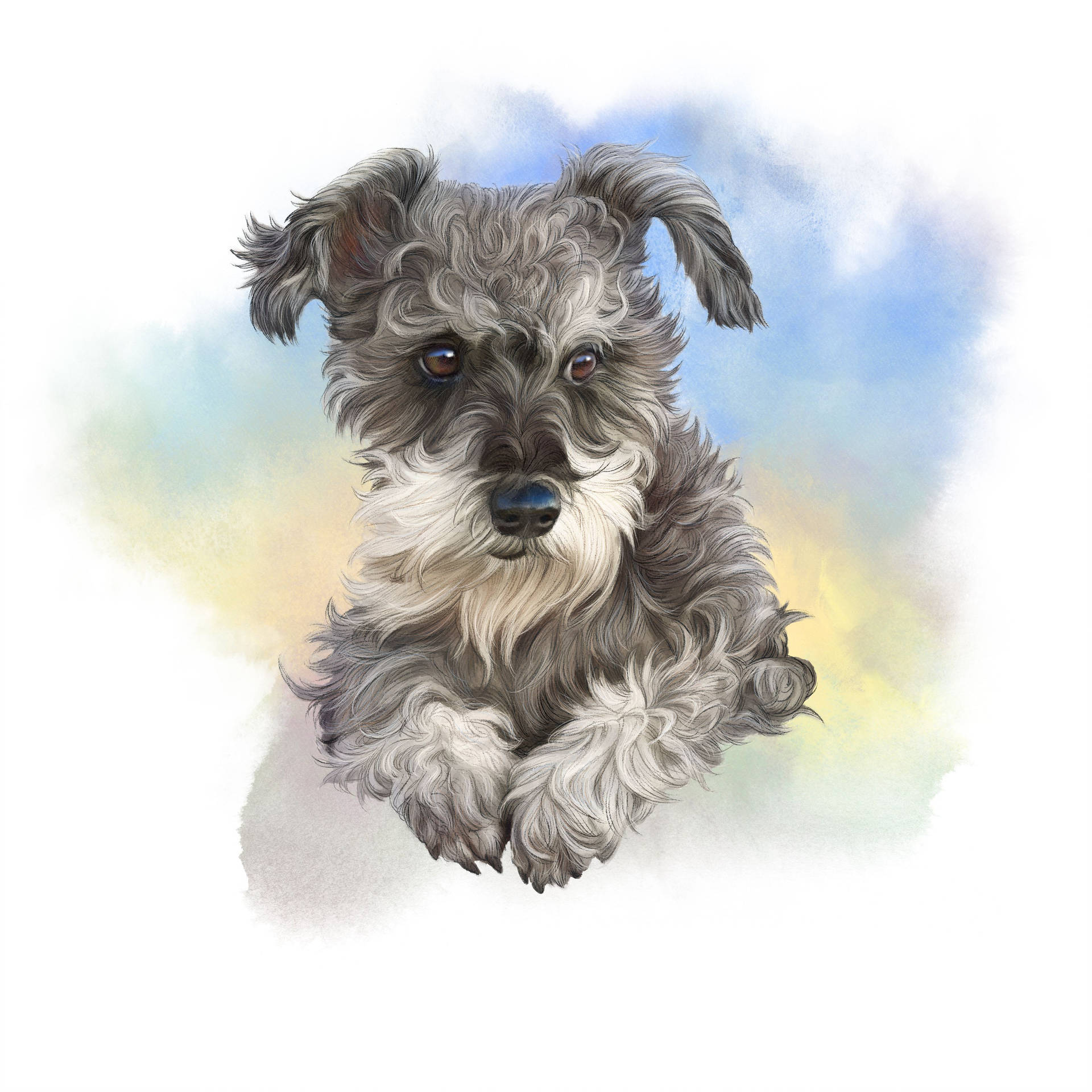 Mini Schnauzer Dog Art Background