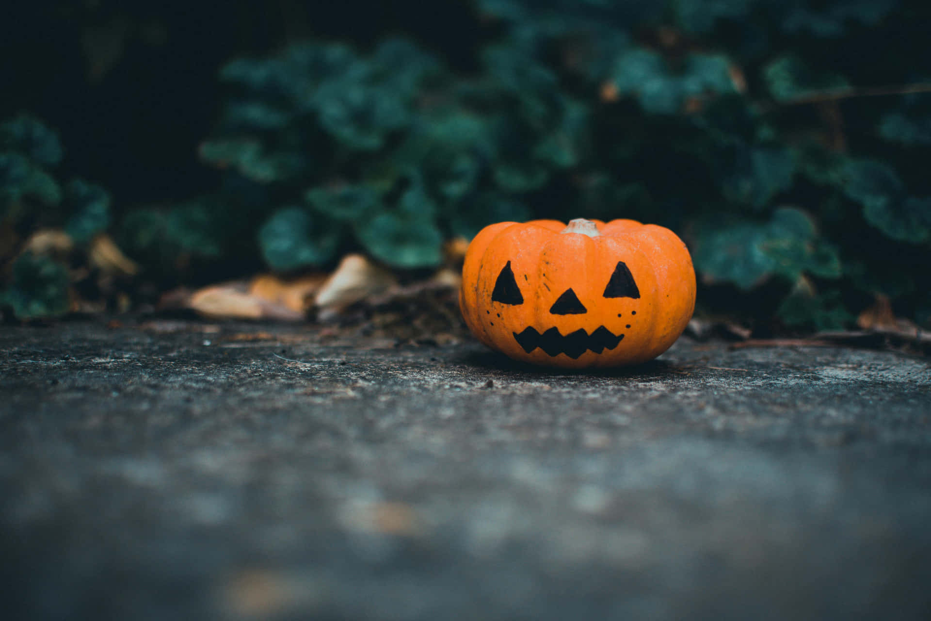 Miniature Jack O Lanternon Ground Background