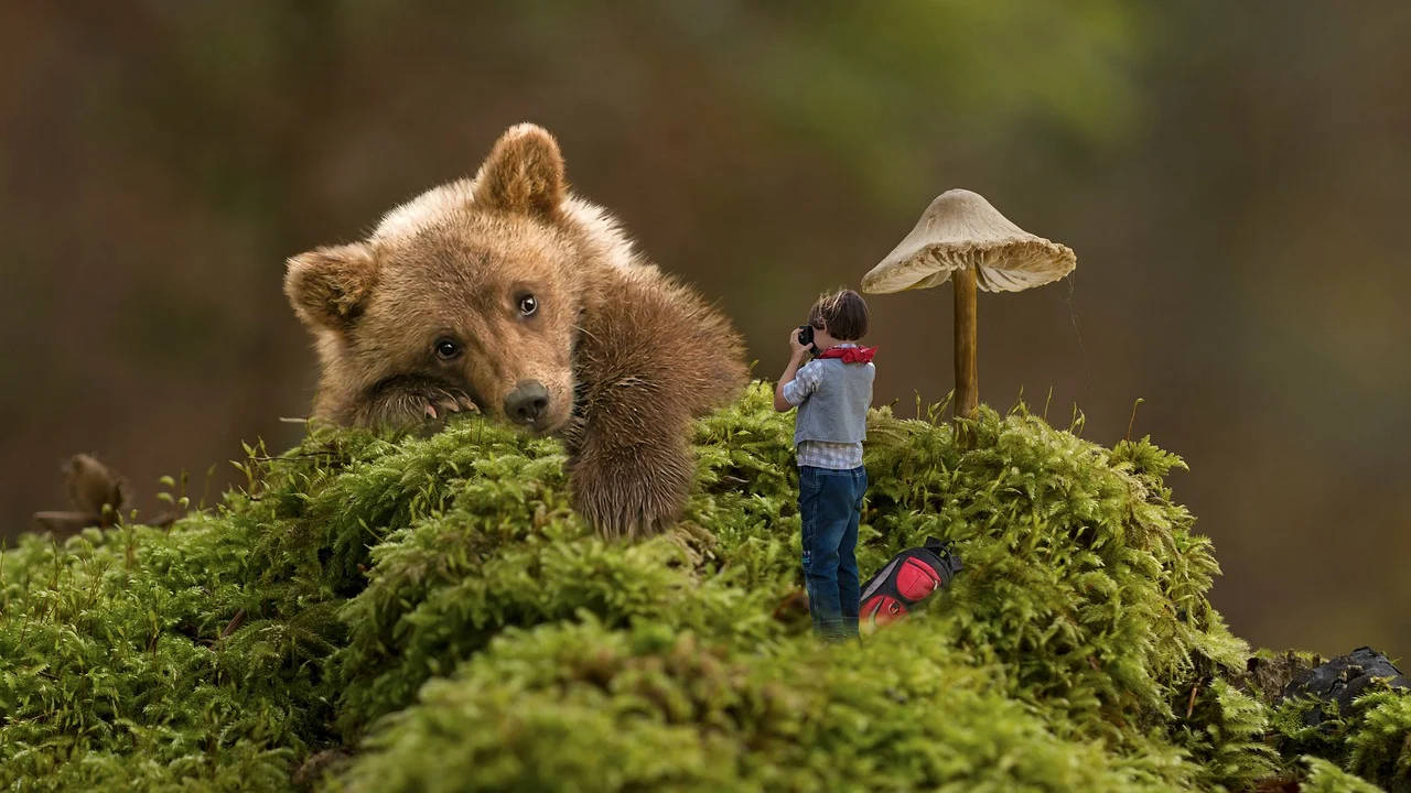 Miniature Kodiak Bear Toy In Habitat Background