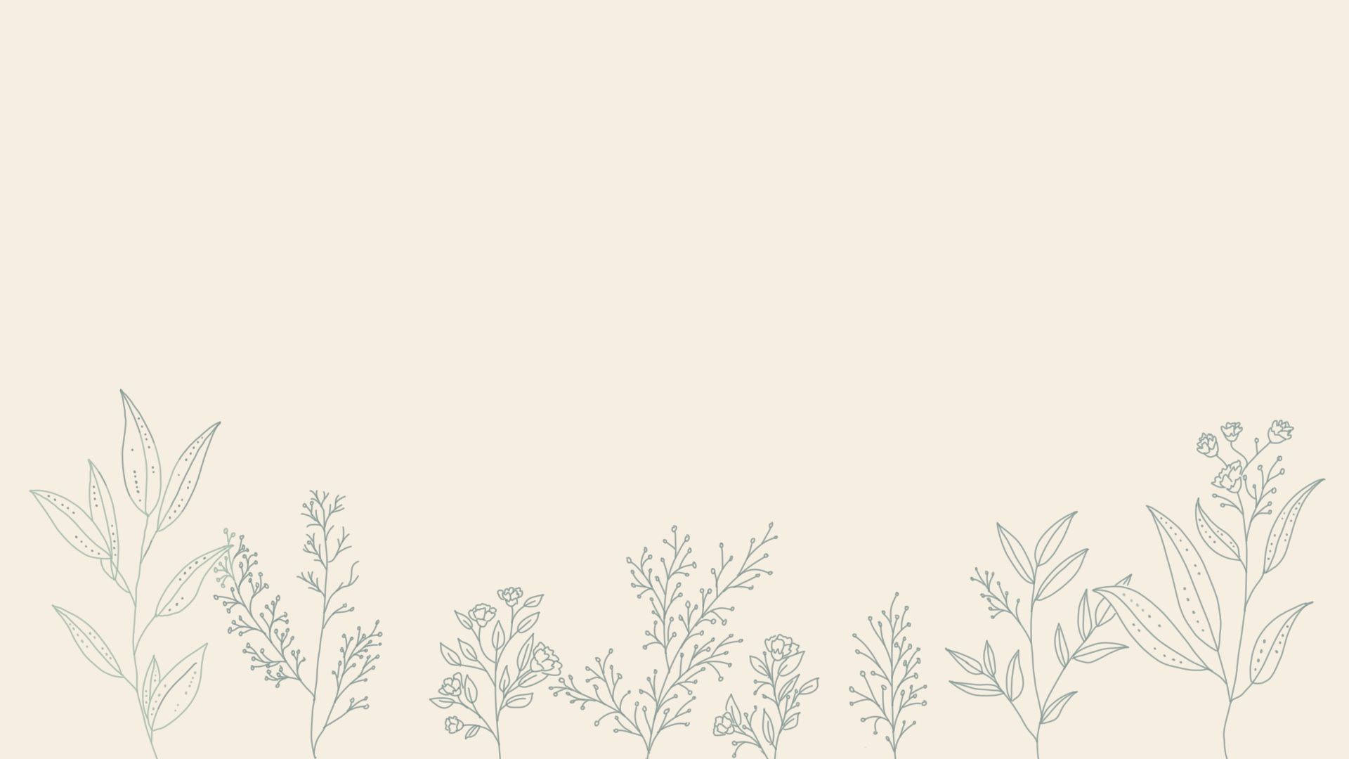 Minimal Aesthetic Desktop Floral Plants Background