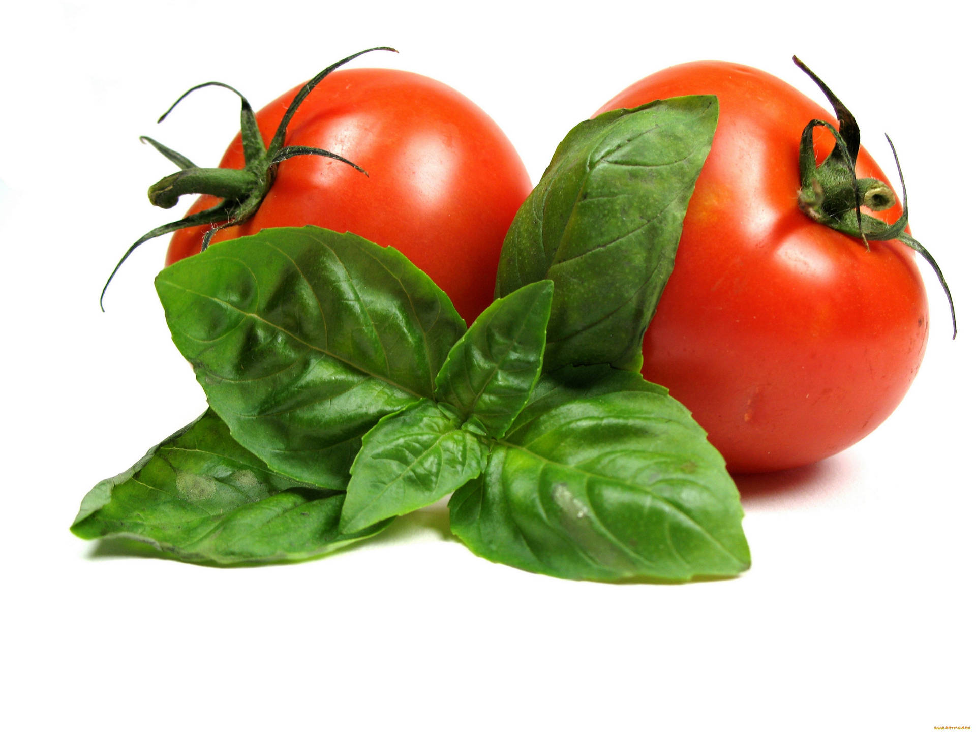 Minimal Tomato Fruits And Basil Leaves Background