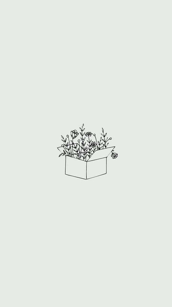Minimalist Aesthetic Box Filled With Flowers Background