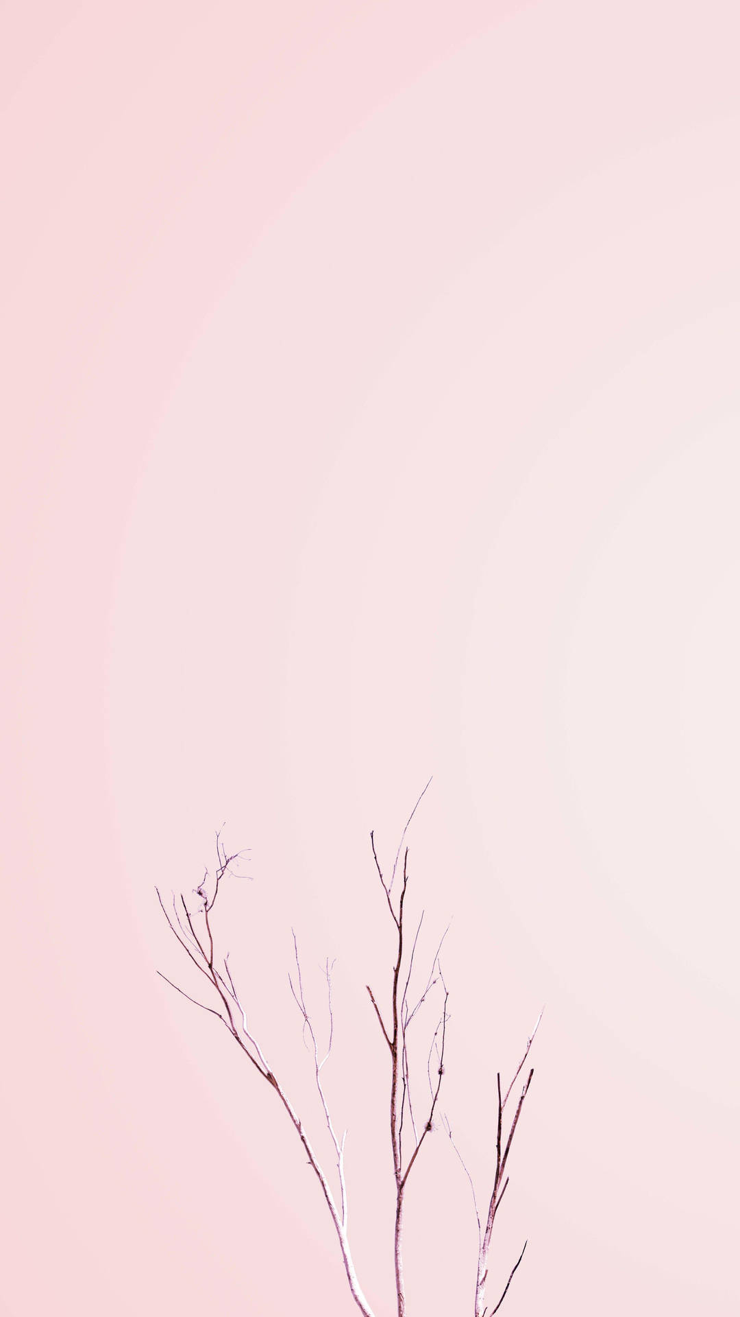 Minimalist Aesthetic Pink Tree Branches Background
