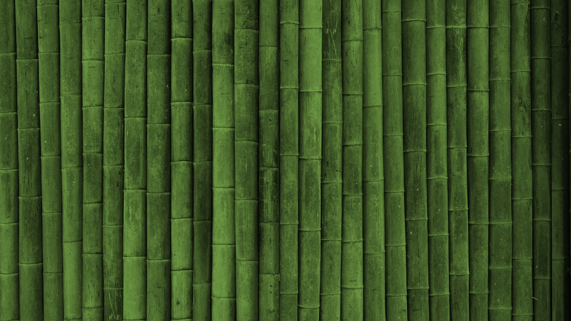 Minimalist Bamboo Hd