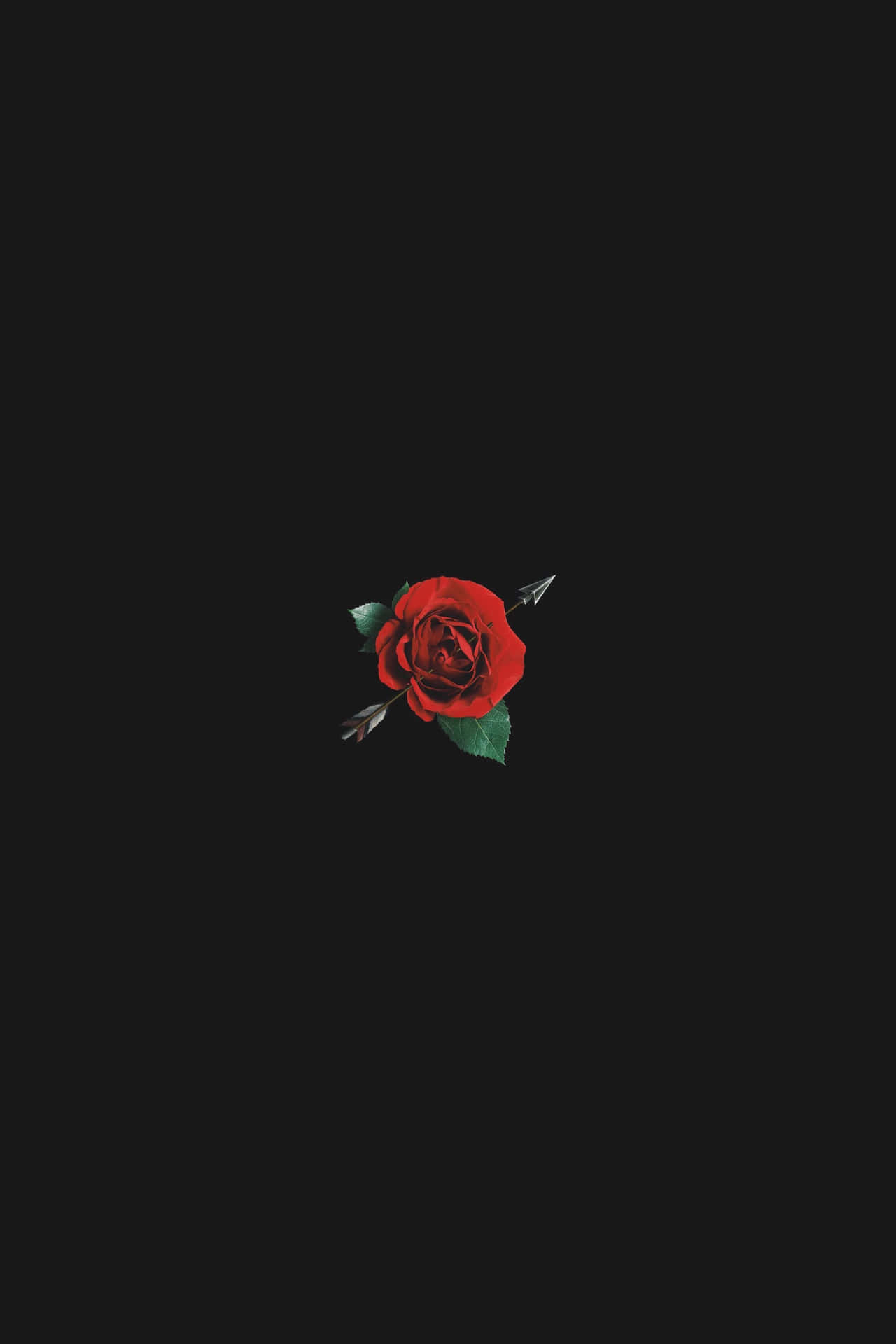 Minimalist Black And Red Aesthetic Small Rose Background