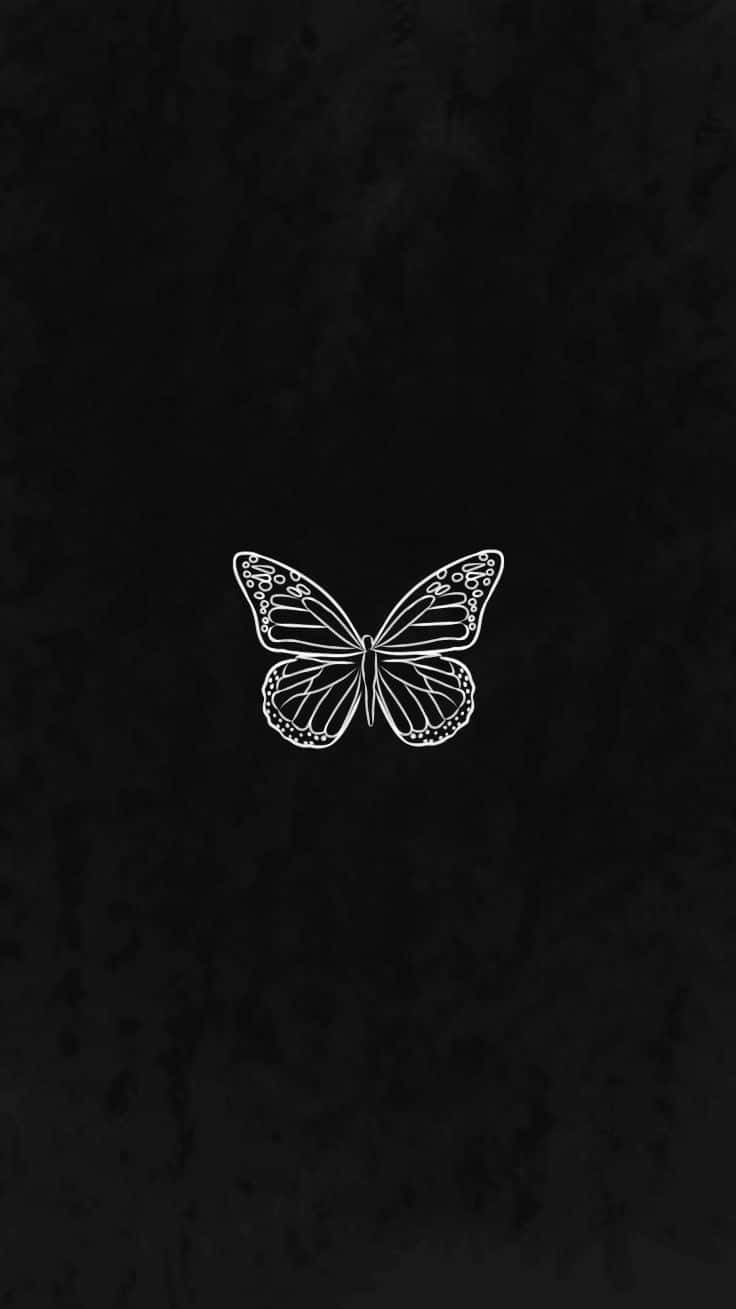 Minimalist Black Butterflyon Dark Background.jpg Background