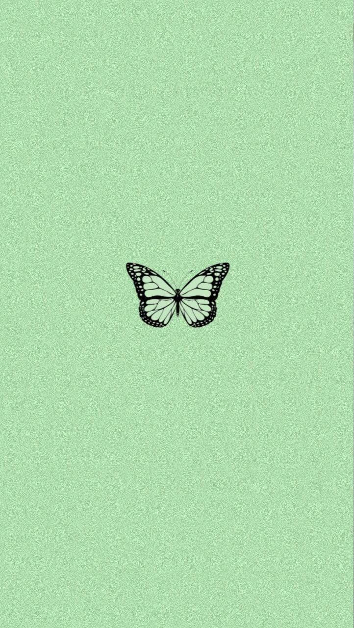 Minimalist Butterfly Mint Green Iphone Background