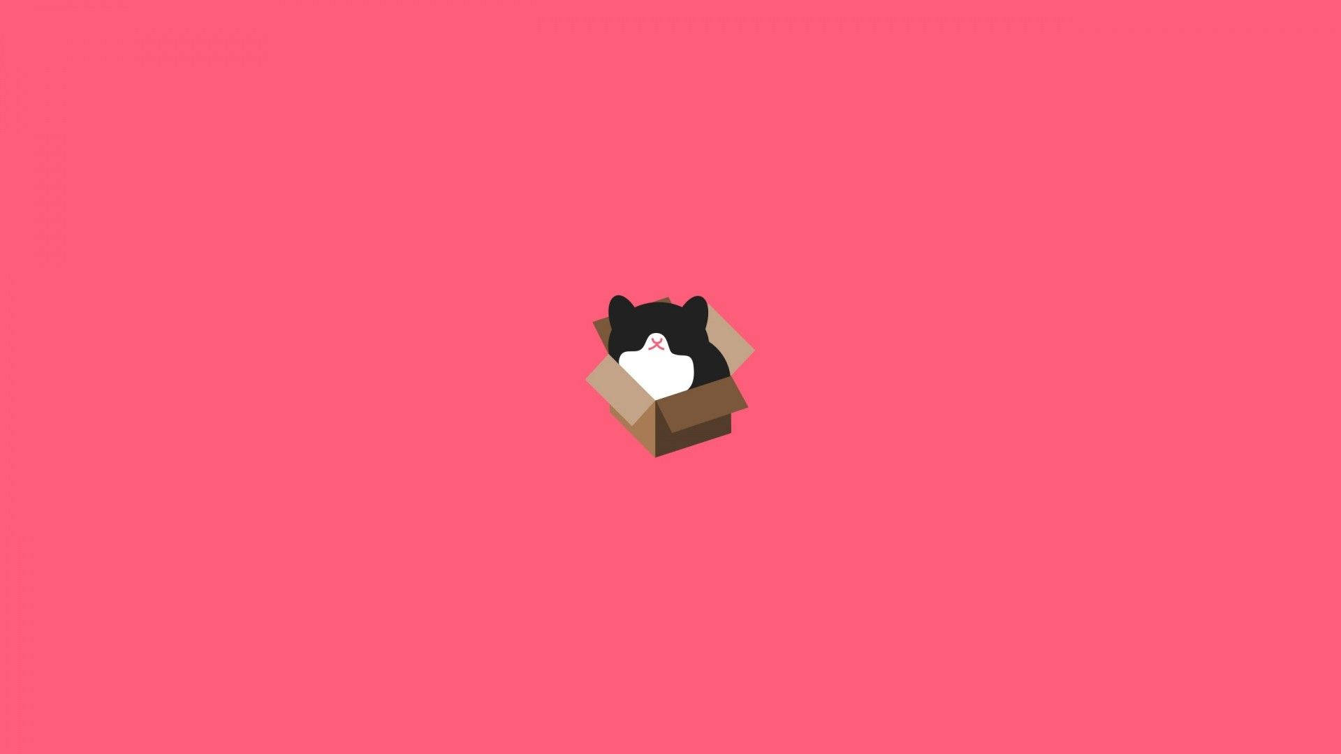 Minimalist Cat In A Pastel Box Art Background