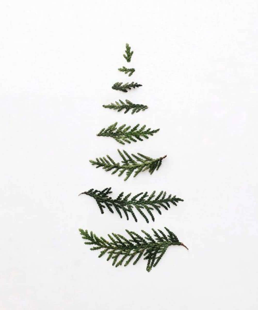 Minimalist Christmas Desktop 1000 X 1200 Background