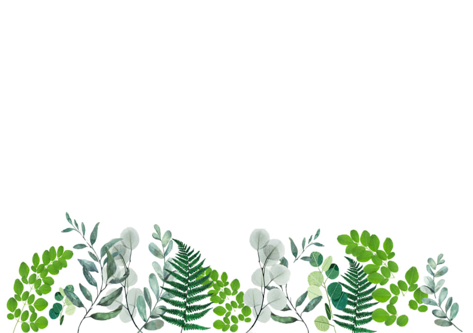 Minimalist Cute Plant Leaves Background