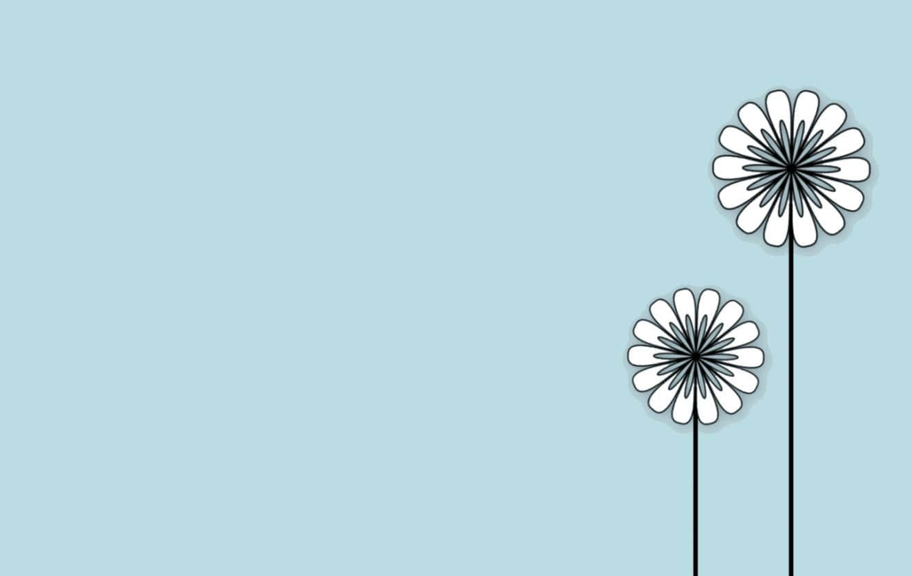 Minimalist Daisy Flower Art Background