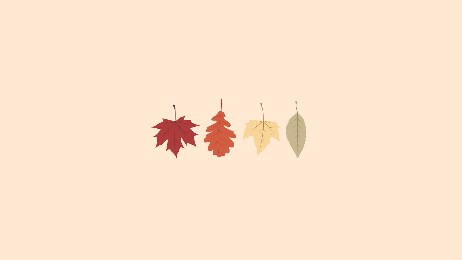 Minimalist Fall Aesthetic Macbook Leaves Background