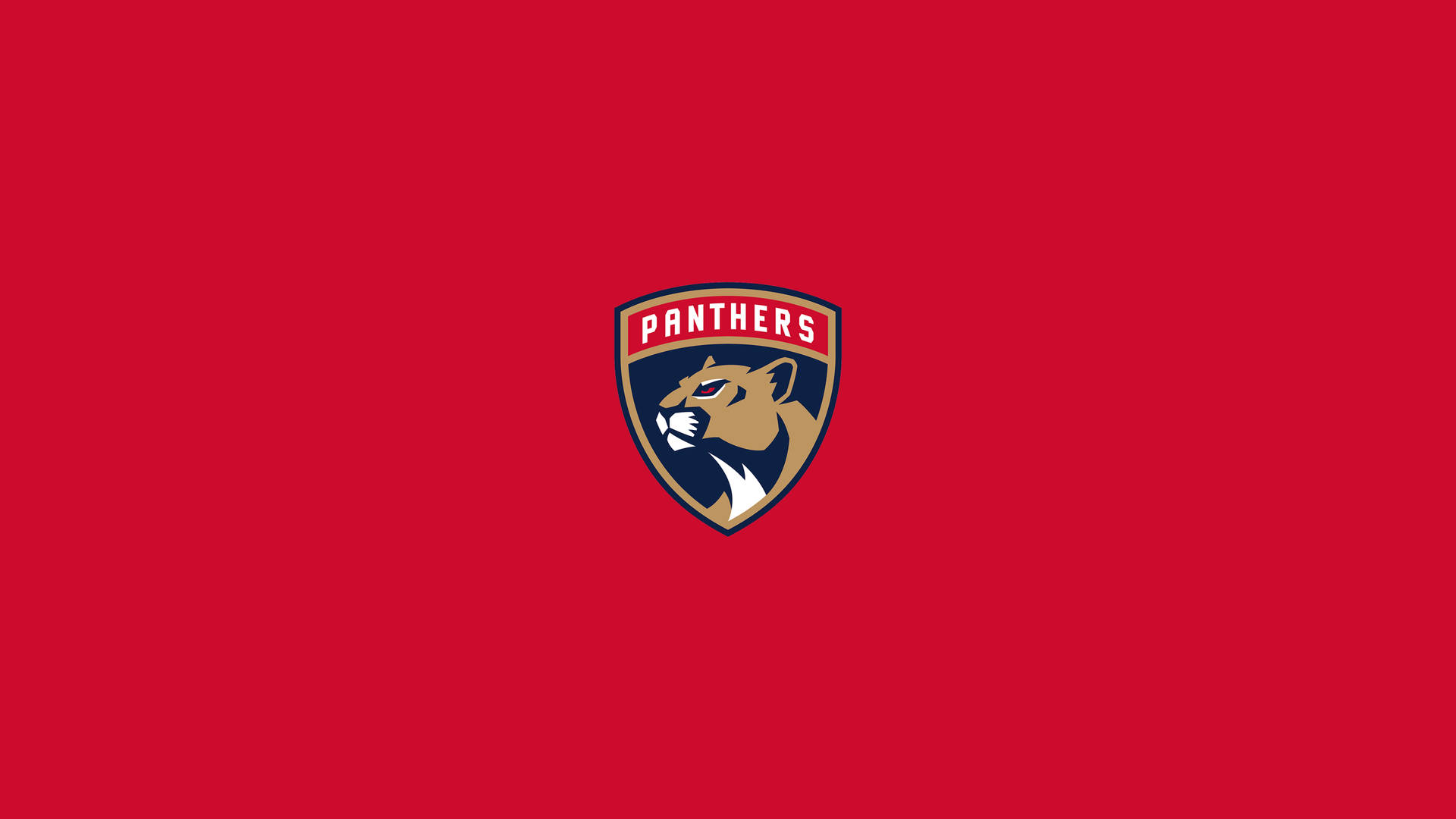 Minimalist Florida Panthers Background