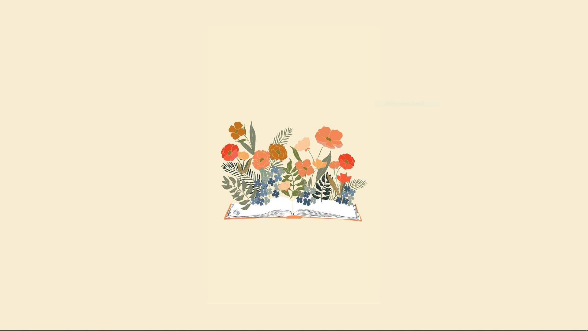 Minimalist Flower Computer Peach Background