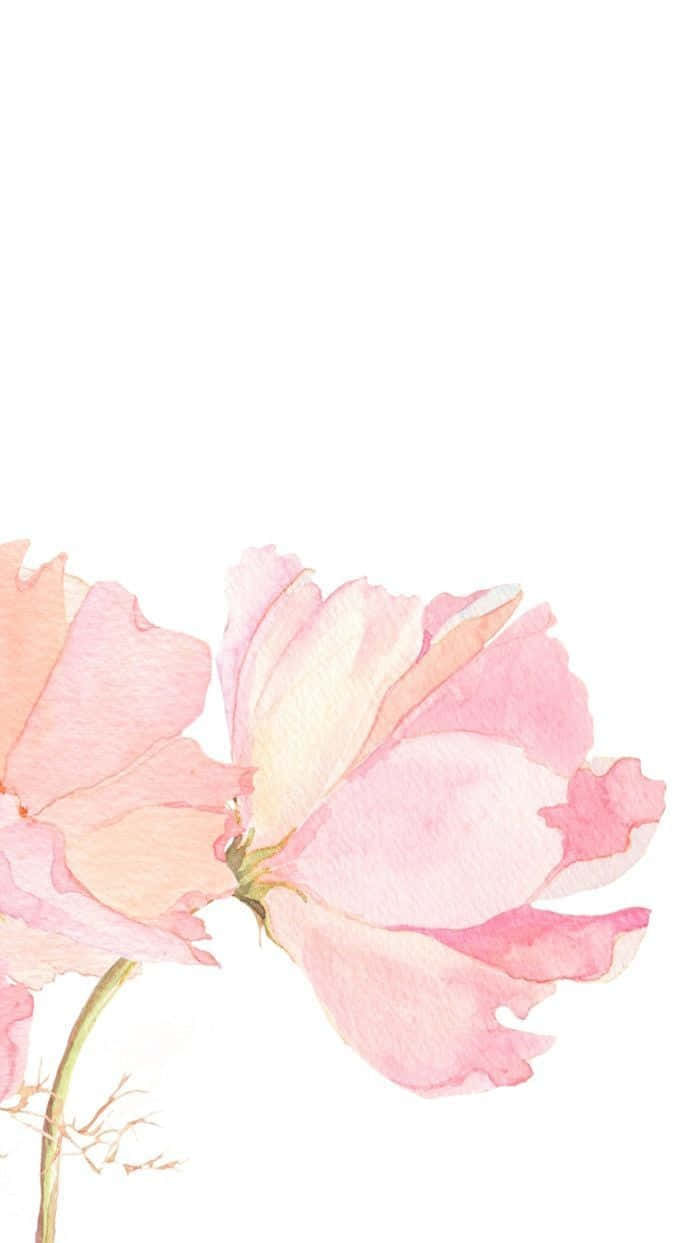 Minimalist Flower Painting Background