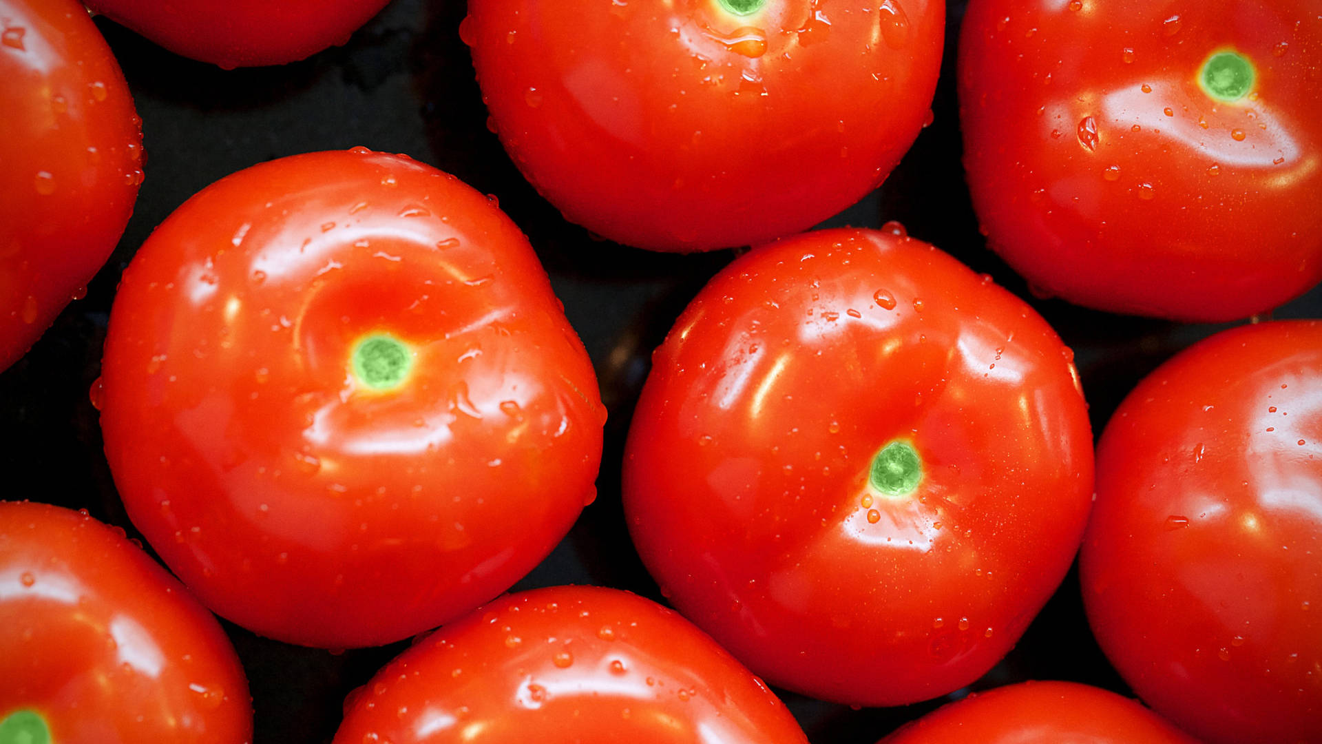 Minimalist Fresh Tomato Fruits Background Background