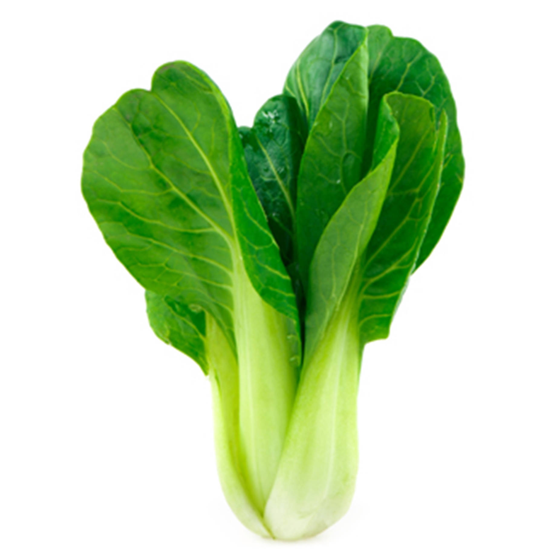 Minimalist Green Bok Choy Chinese Cabbage Background