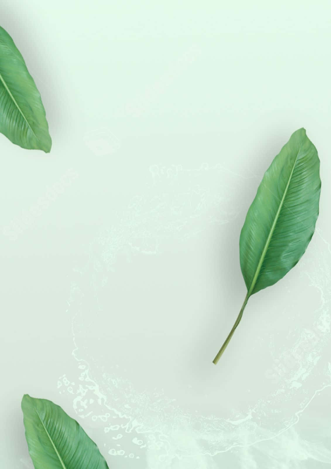Minimalist Green Leaves Background Background