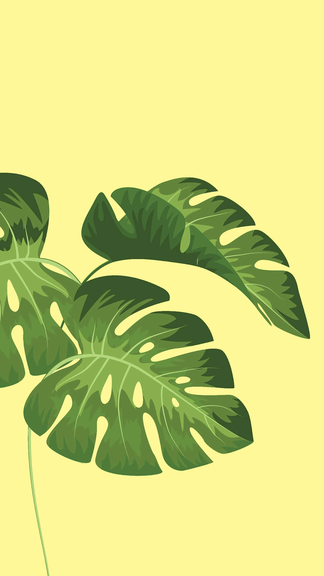 Minimalist Green Monstera Leaves Background