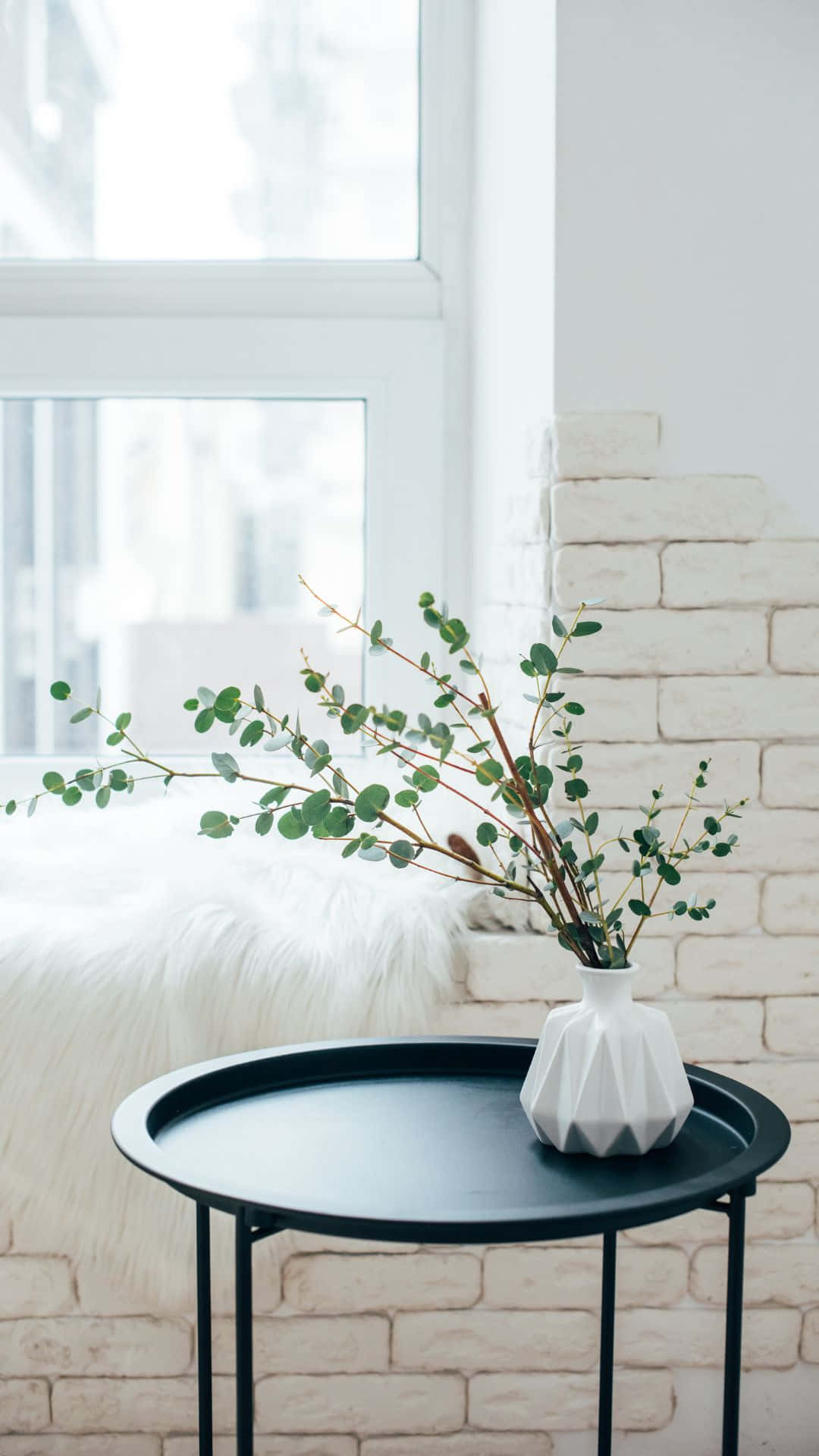 Minimalist Interior Designwith Plant Background