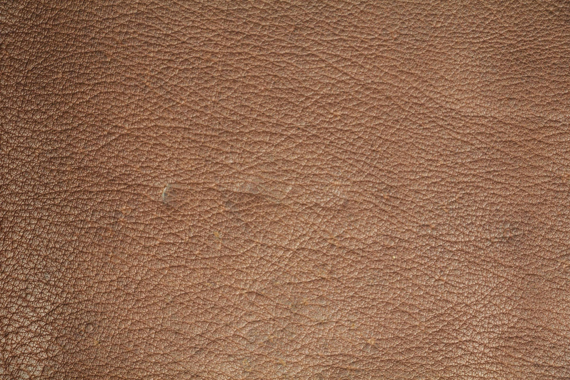 Minimalist Light Brown Leather Texture Book Cover