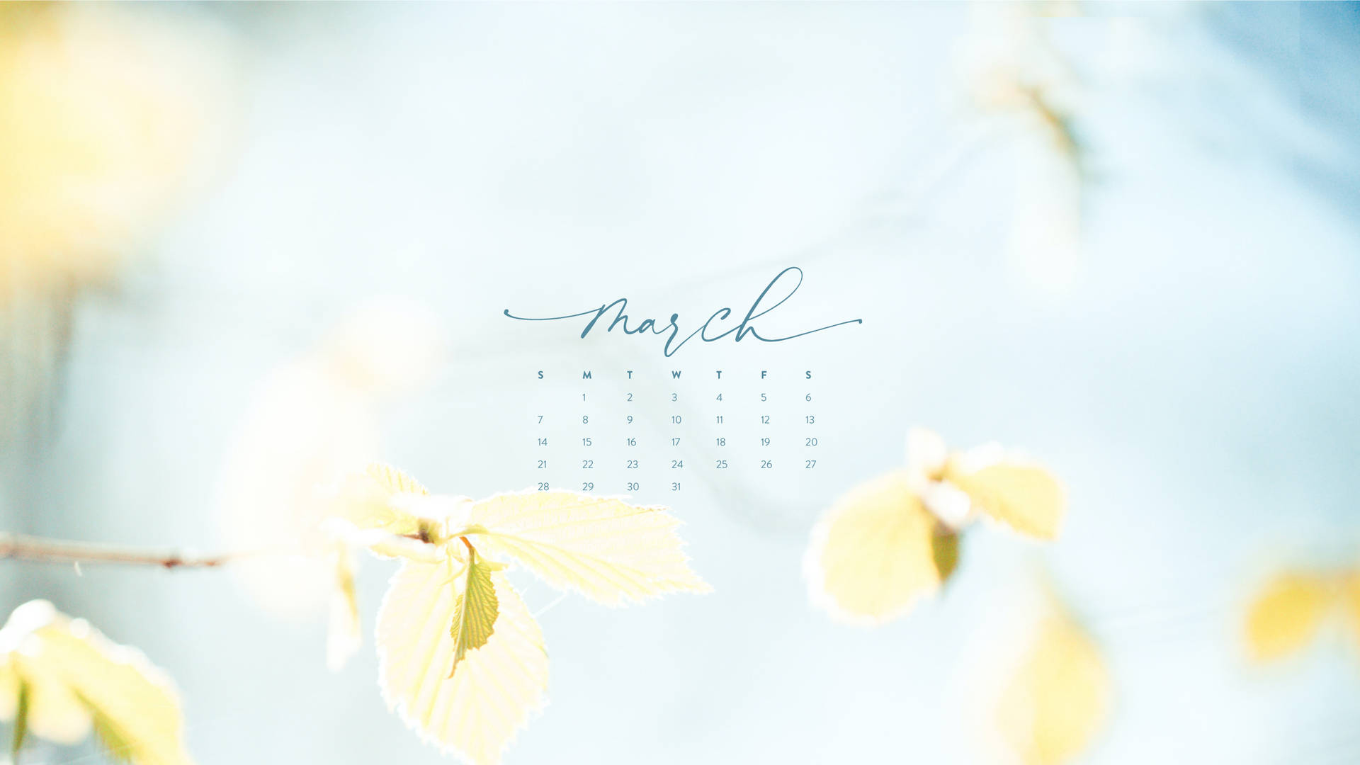 Minimalist March Spring Calendar Background