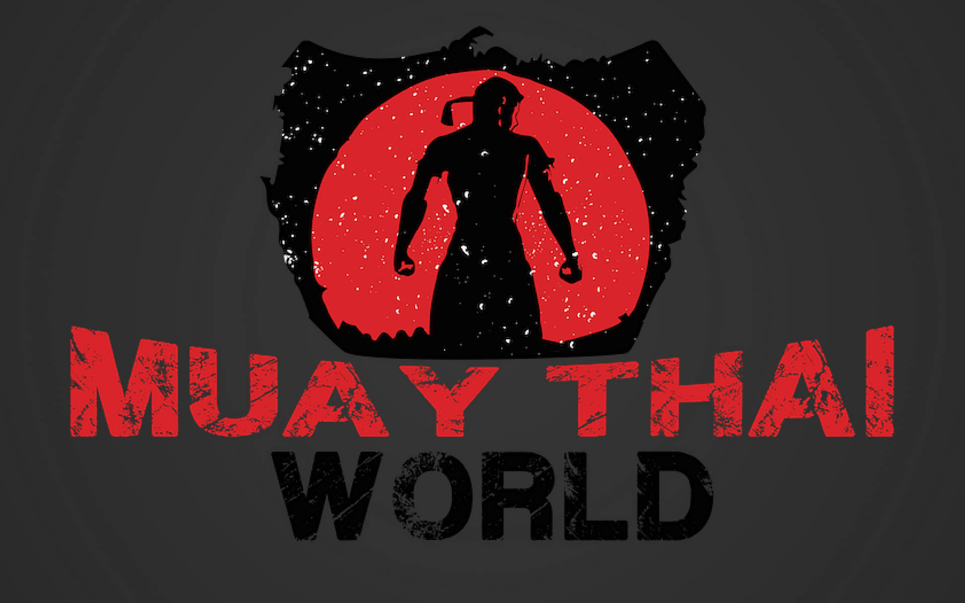 Minimalist Muay Thai World