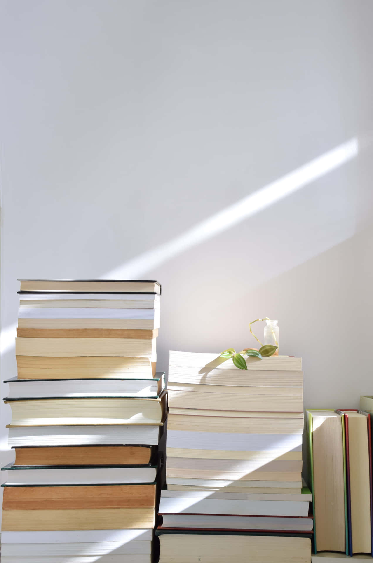 Minimalist Novel