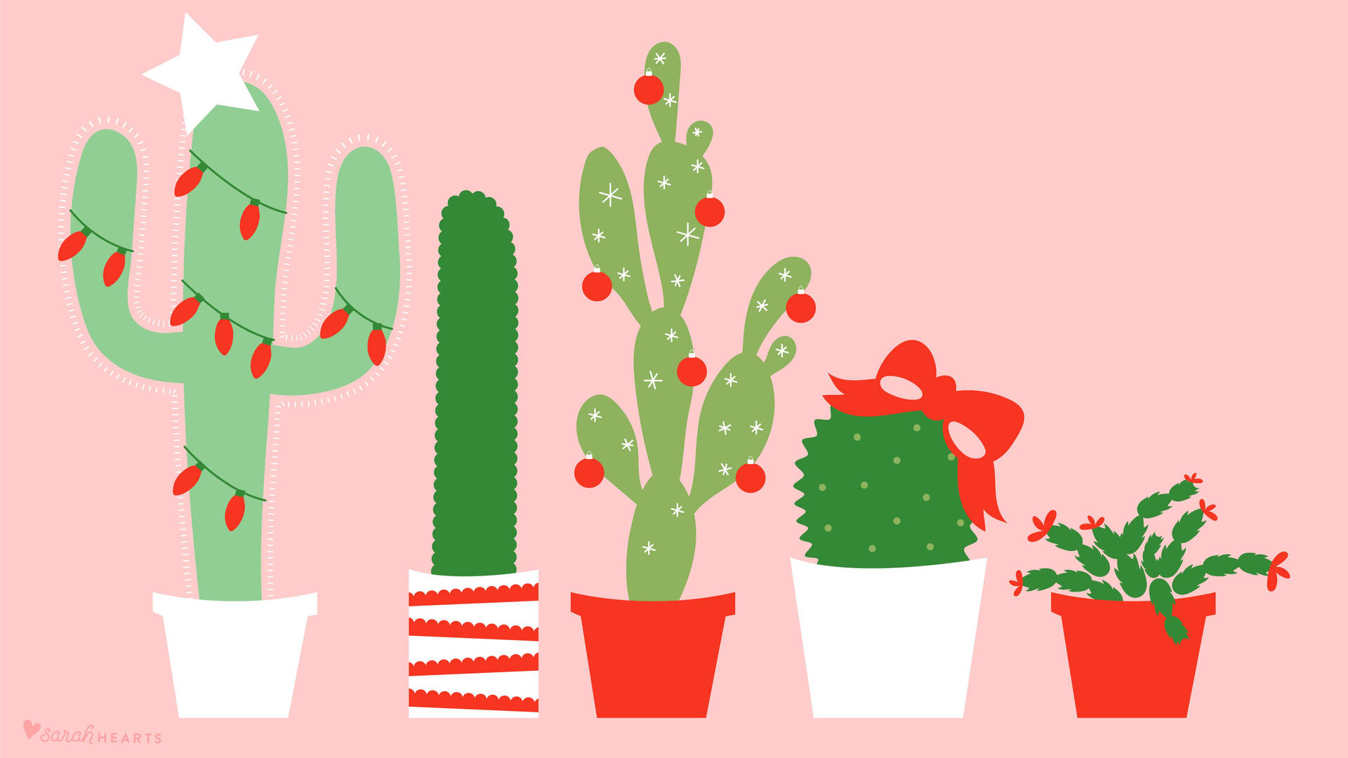 Minimalist Pink Christmas Cactus Background