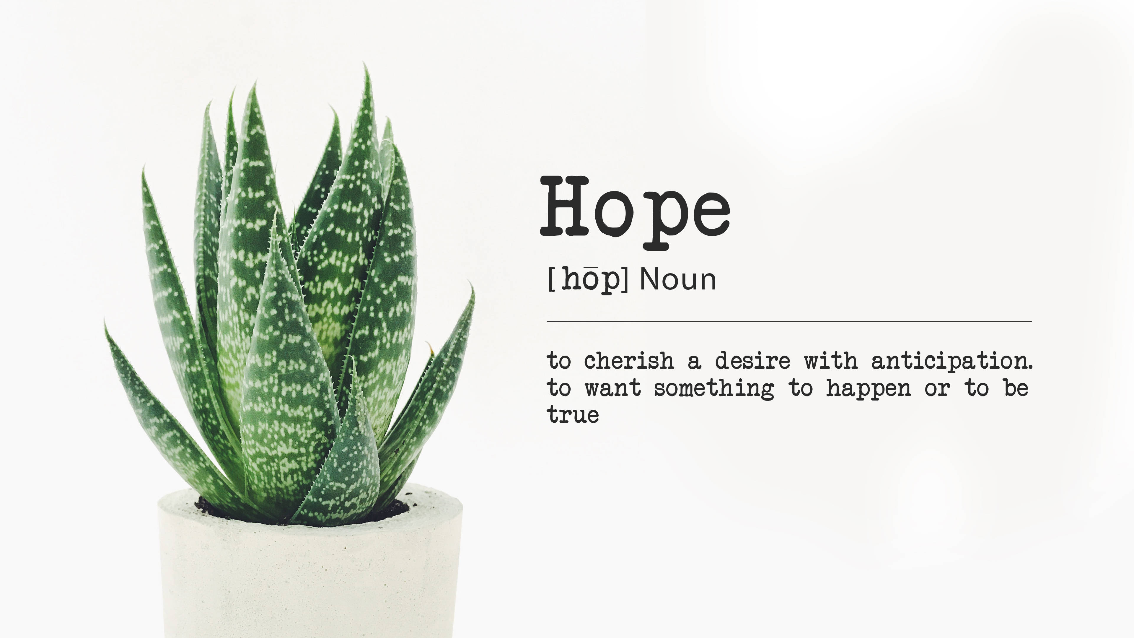 Minimalist Plant With Hope Quote