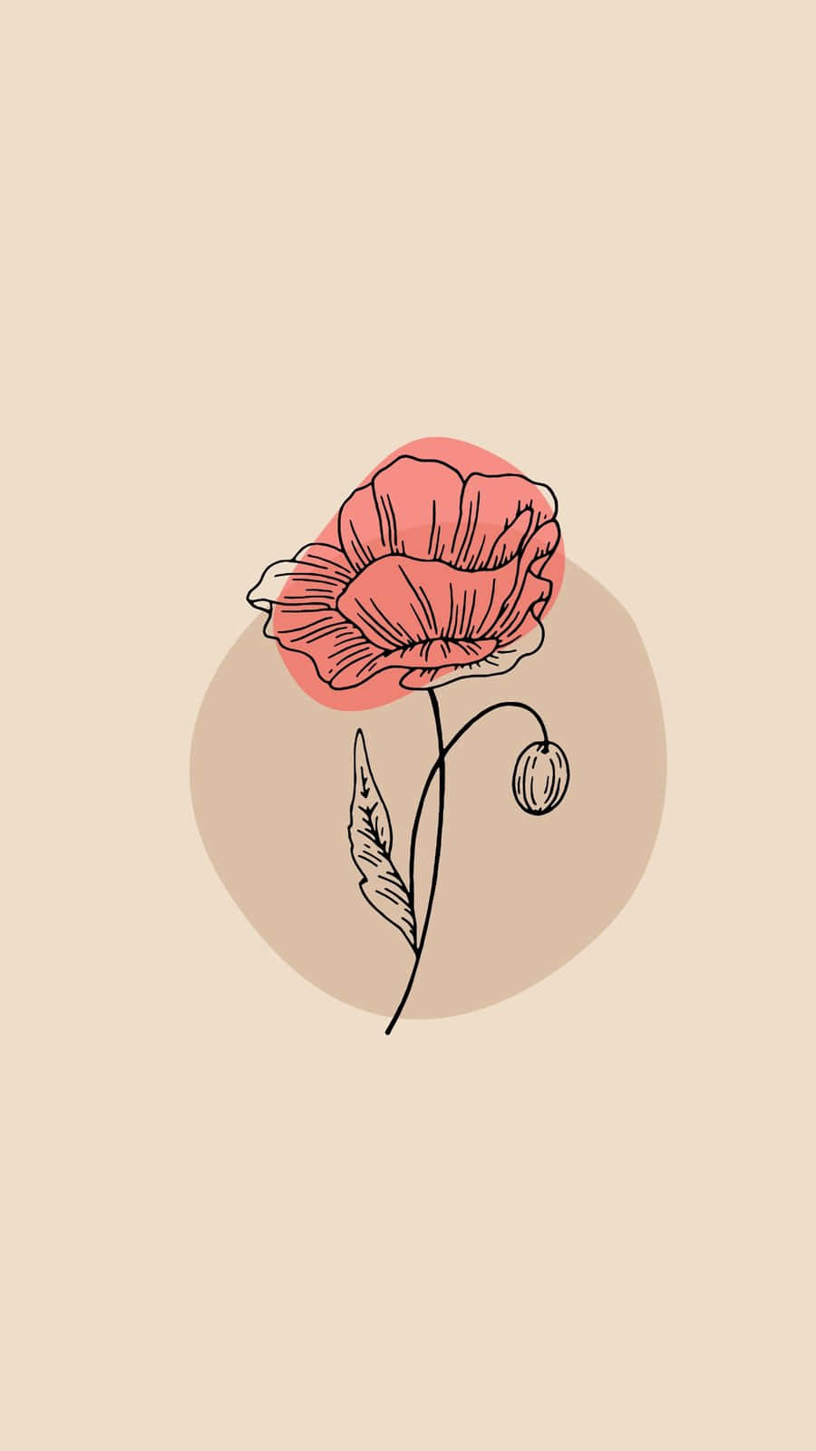 Minimalist Poppy Flower Illustration Background