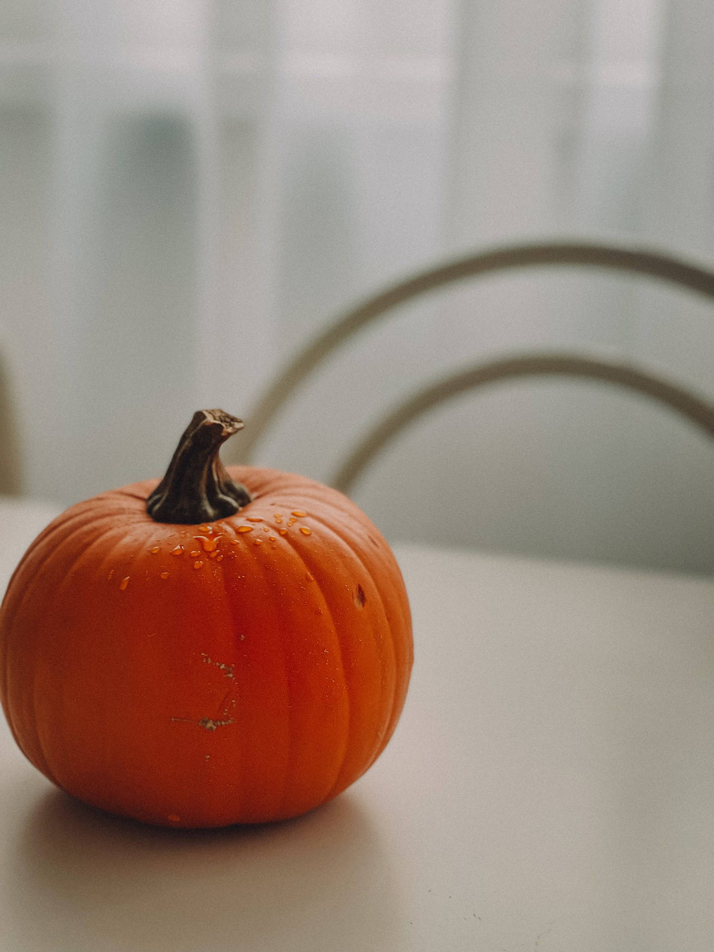 Minimalist Pumpkin Aesthetic Photography Background